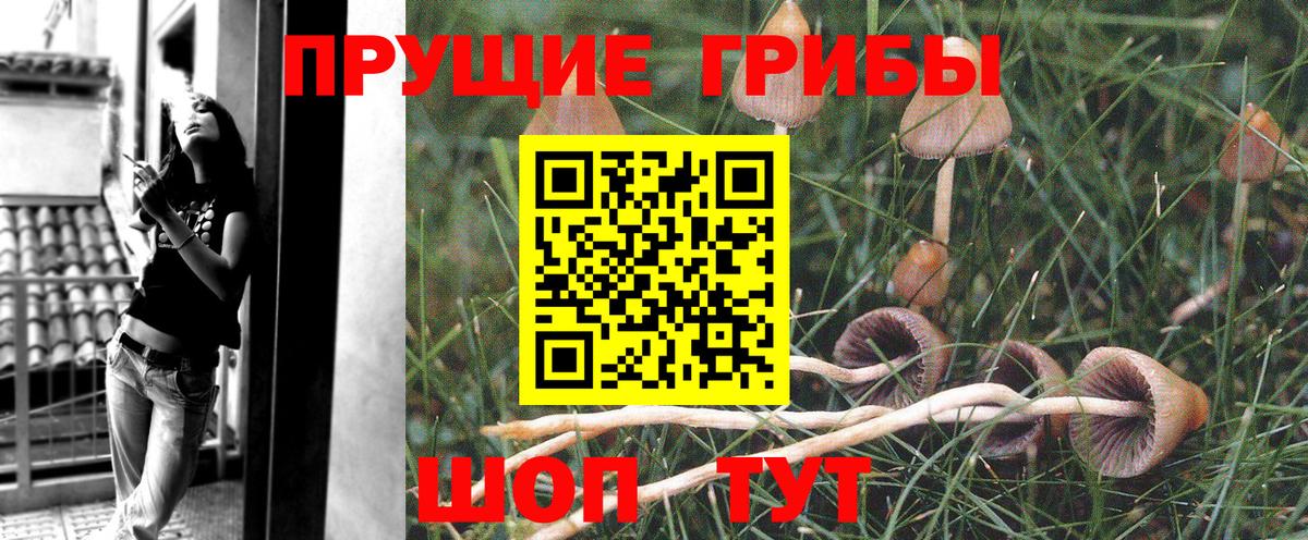Галлюциногенные грибы GOLDEN TEACHER Кудымкар