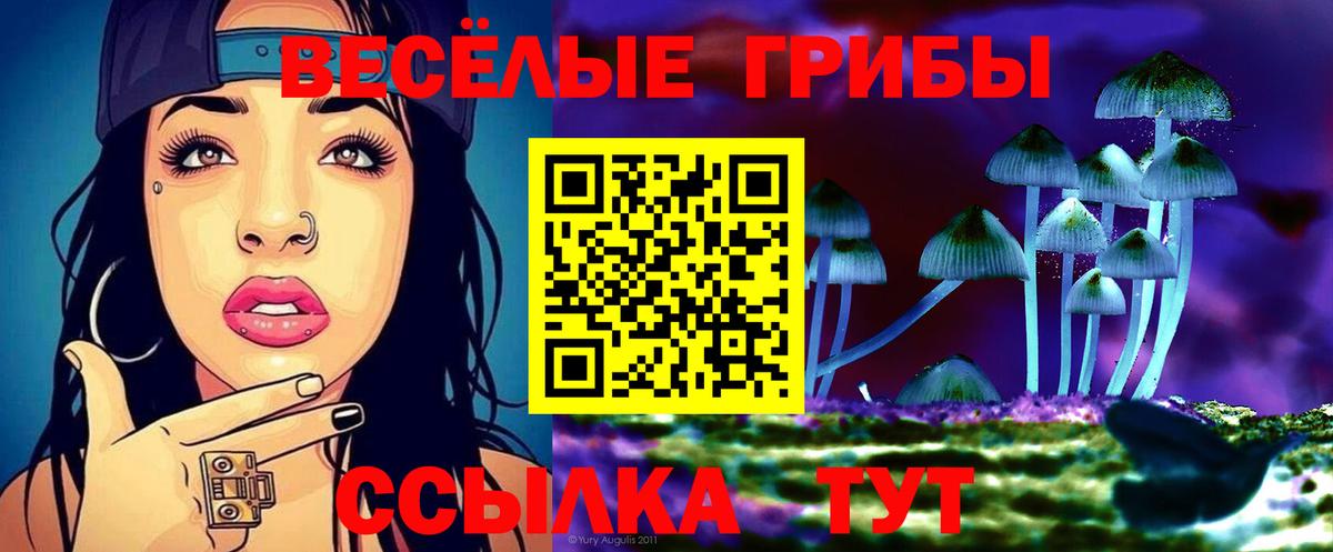 Кудымкар  Галлюциногенные грибы мицелий  наркотики  Вход с VPN 